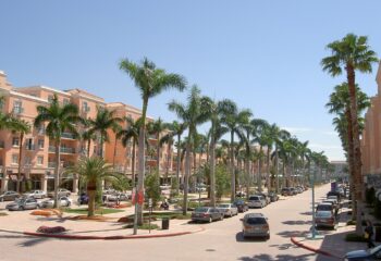 Mizner Park palm-lined boulevard in Boca Raton, Florida